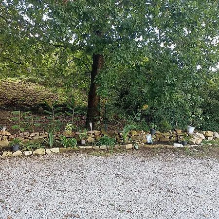 Viviendas Rurales Calderas Santillana del Mar